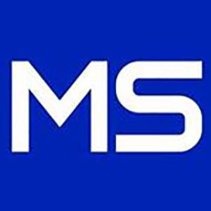 Metizsoft Solutions Private Limited 